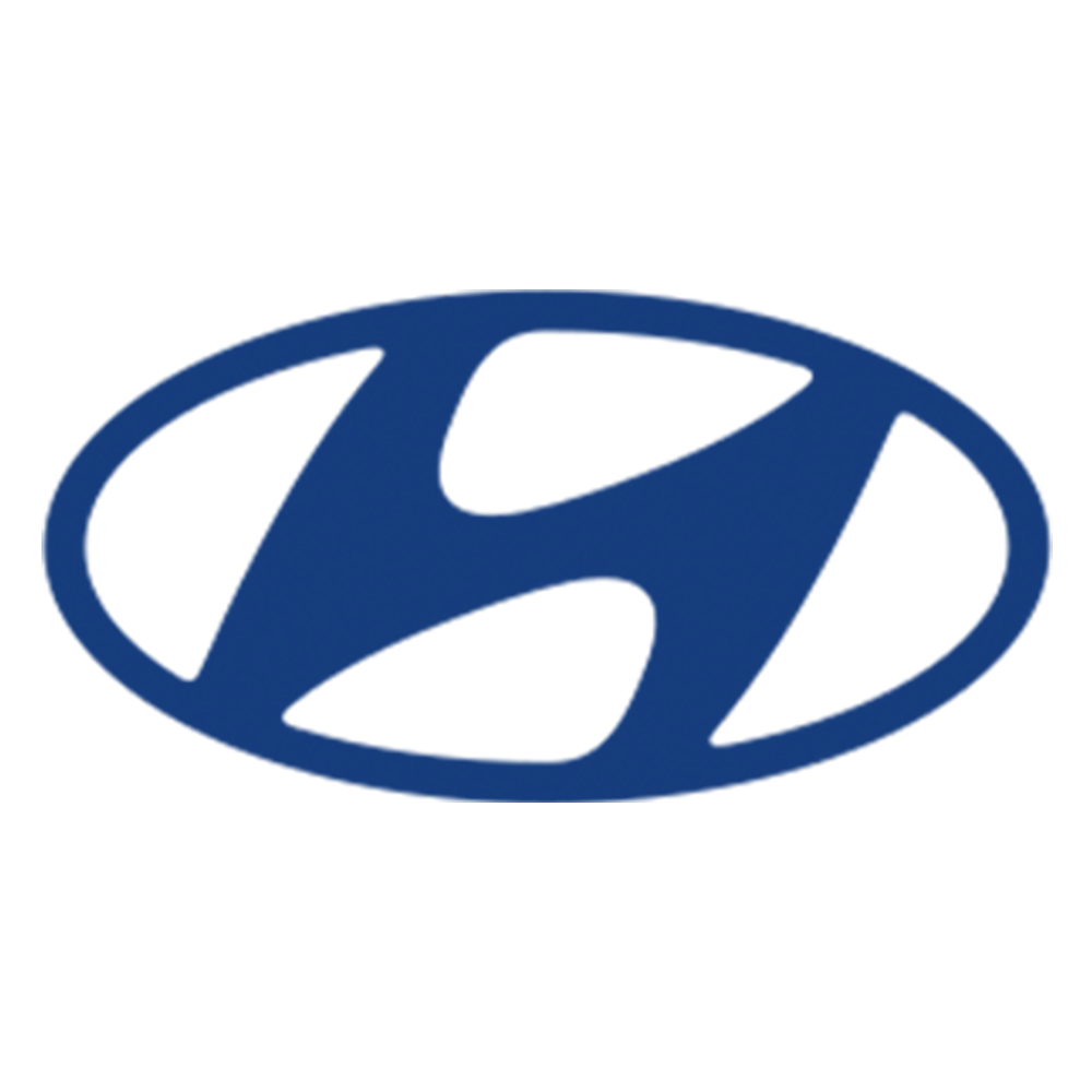Hyundai Transporter Werkstatt